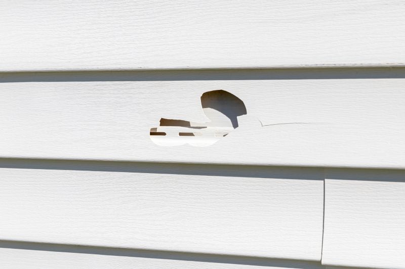 High-Quality Vinyl Siding Repair